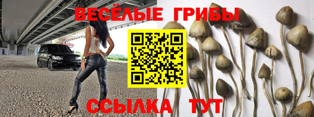Псилоцибиновые грибы ЛСД Белебей